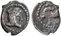 реверс Samarian Coinage 262
