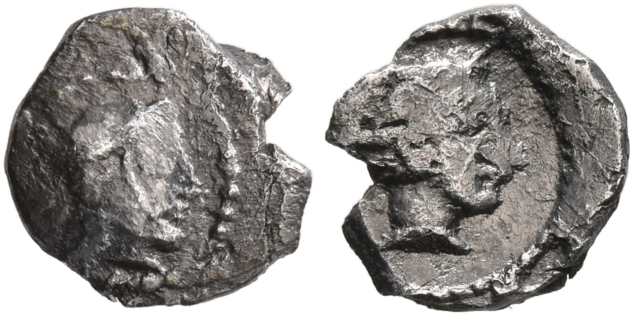 аверс Samarian Coinage 260