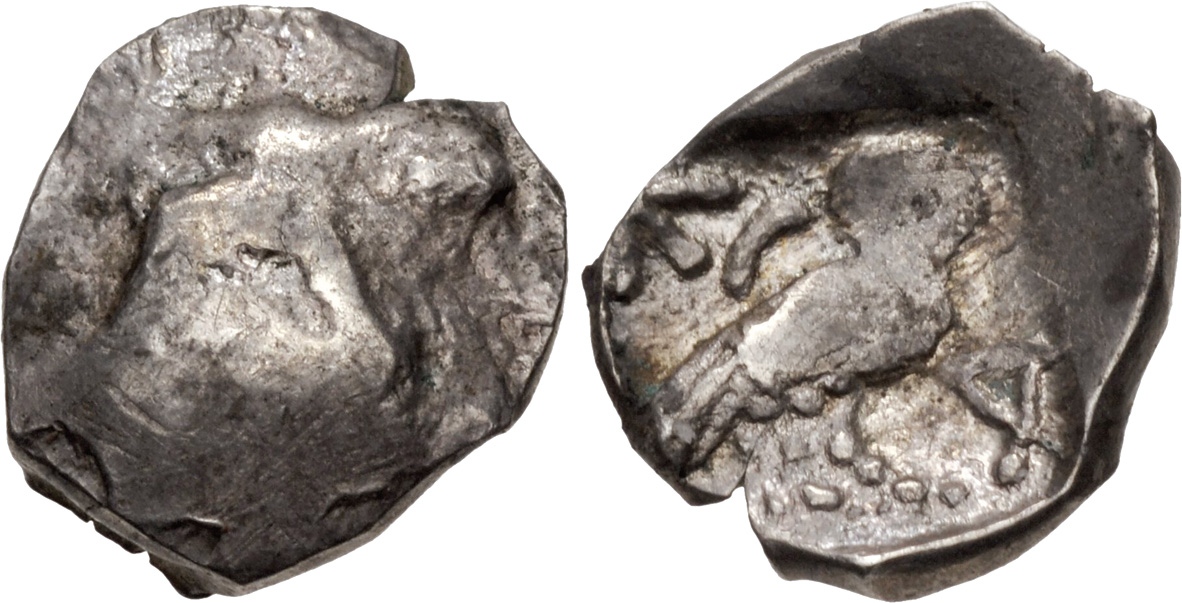 аверс Samarian Coinage 293