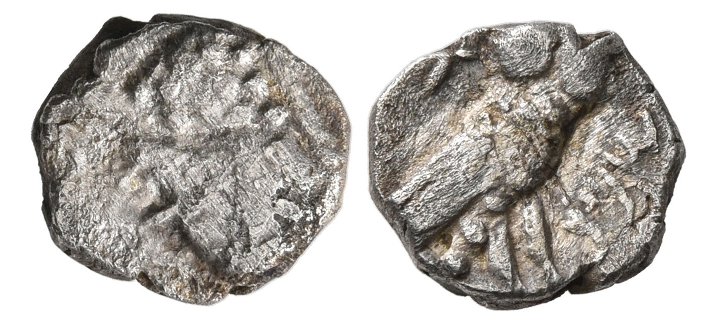 аверс Samarian Coinage 60