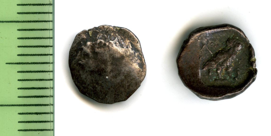 Samarian Coinage 273, аверс, sitnam