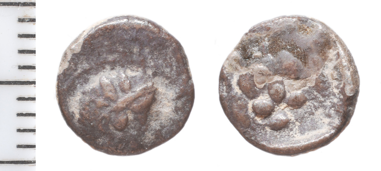 Samarian Coinage 228, аверс, sitnam