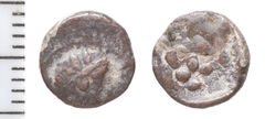 Samarian Coinage 228, реверс, sitnam