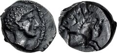 реверс Samarian Coinage 147